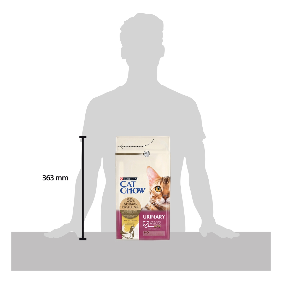 Purina cat discount chow urinary